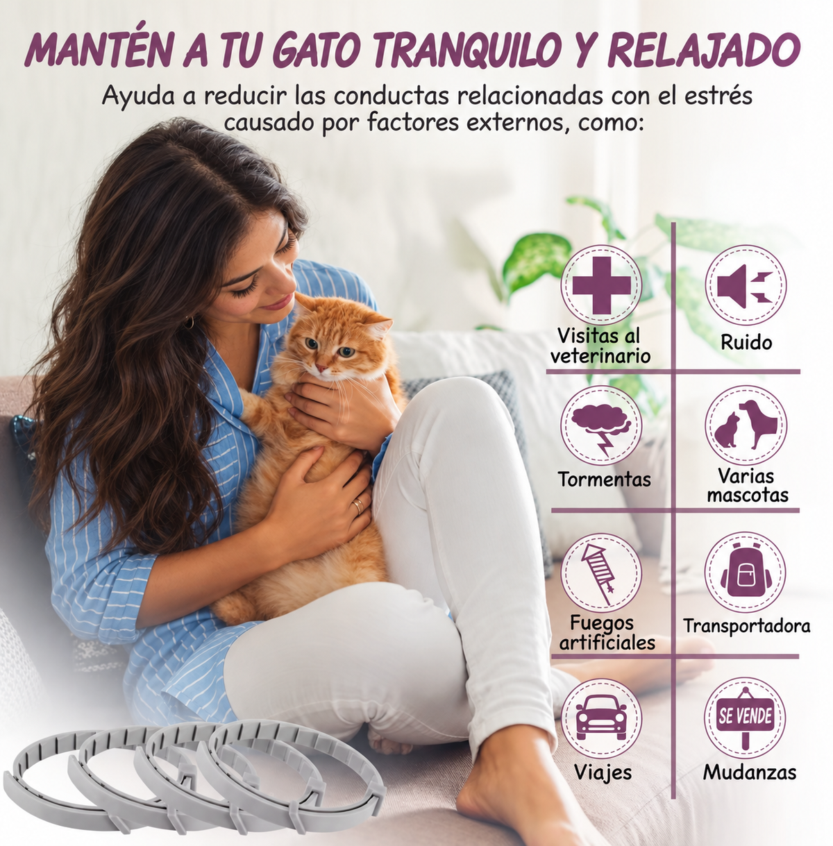 Mantén a tu gato tranquilo y relajado - guía visual
