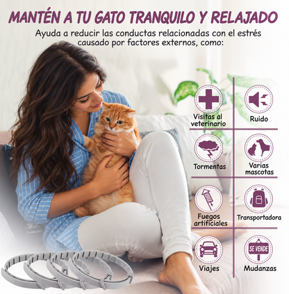 Mantén a tu gato tranquilo y relajado - guía visual