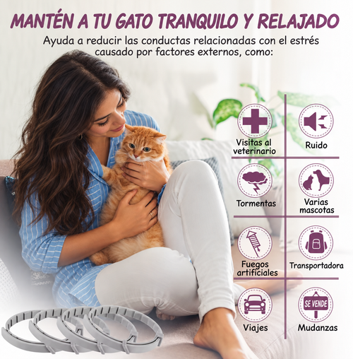 Collar calmante con feromonas para gatos Michizen